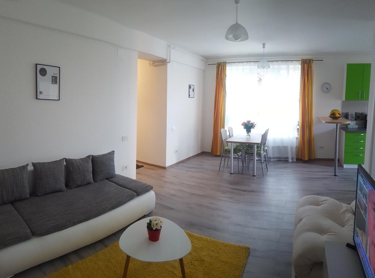 Apartament Schiller 58