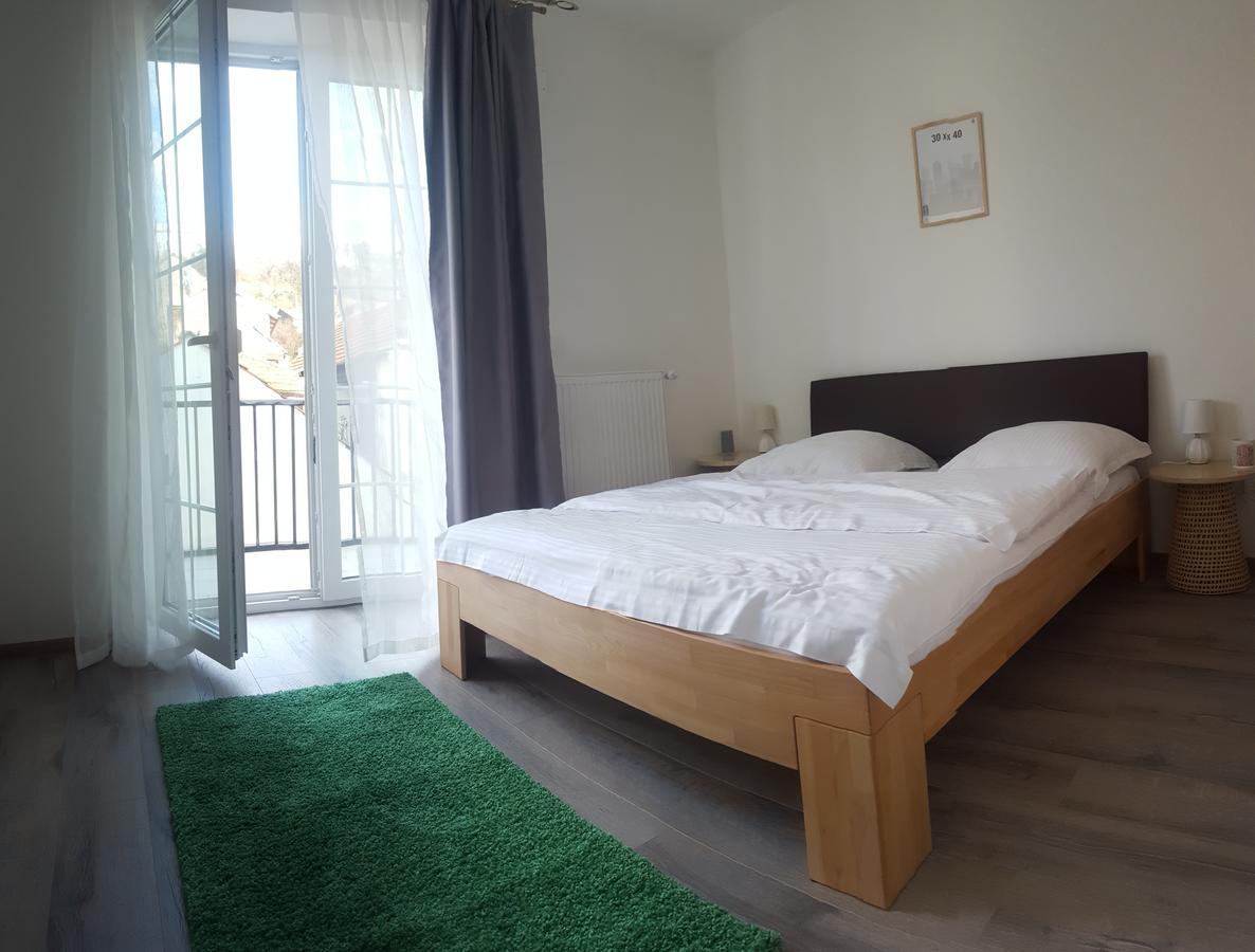 Apartament Schiller 58 *